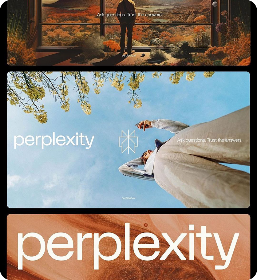 Perplexity project preview